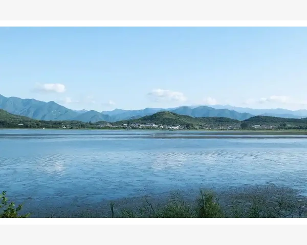 大暑养生：多出汗，多润肺