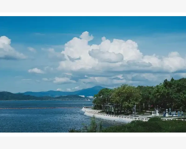 脾胃虚弱，如何应对食欲减退？中医调理指南！